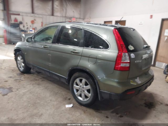 Honda CR-V Ex-l Image 3