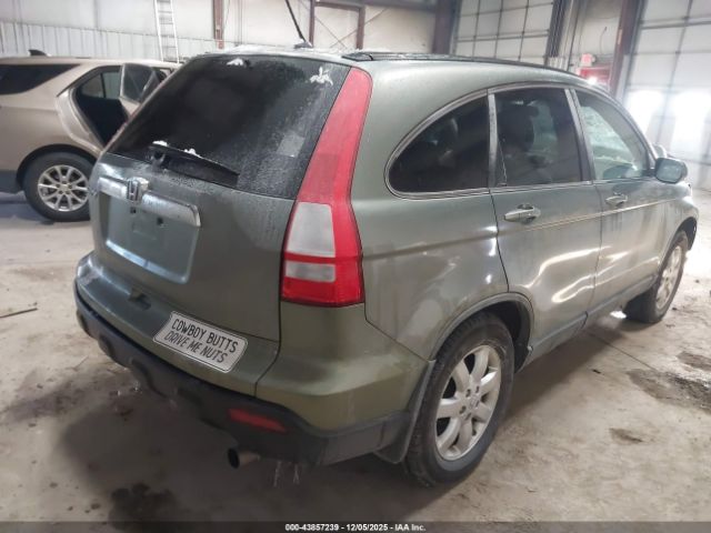 Honda CR-V Ex-l Image 17