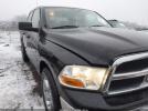 Dodge Ram 1500 Image 1