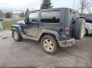 Jeep Wrangler Sahara Image 3