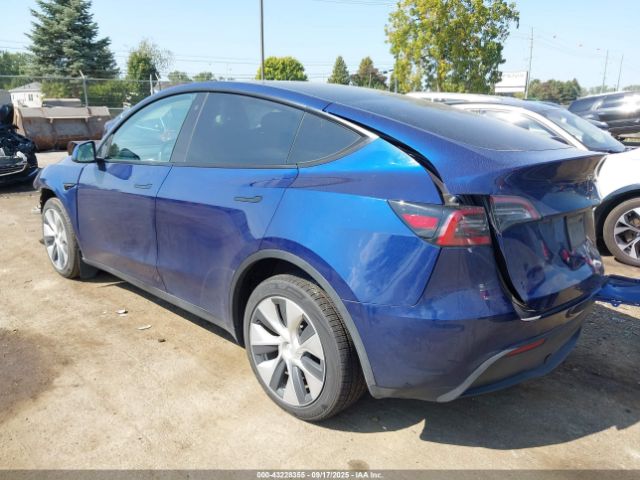 Tesla Model Y Image 12