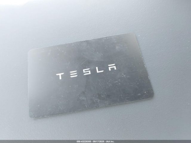 Tesla Model Y Image 6