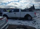 Ford F-150 Image 13