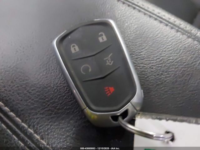 Cadillac XT4 Awd Premium Luxury Image 5