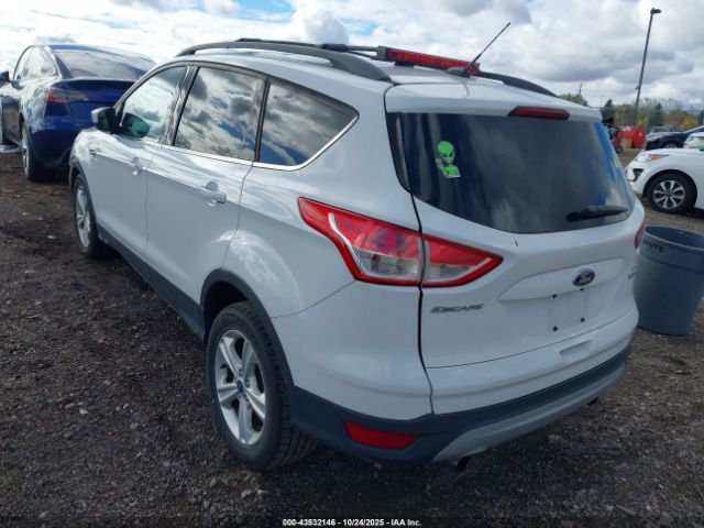 Ford Escape Se Image 5