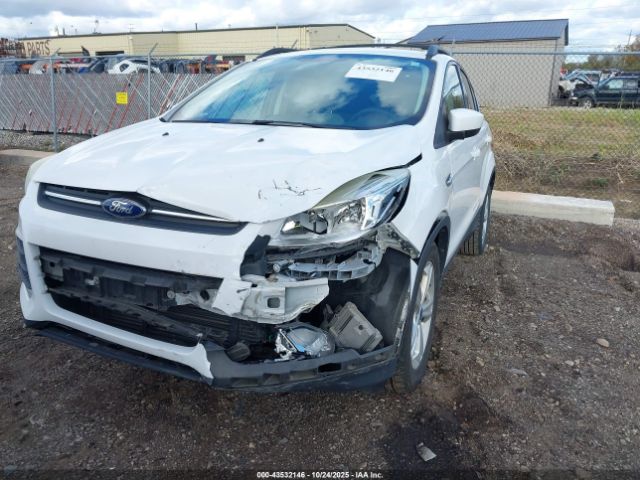 Ford Escape Se Image 4