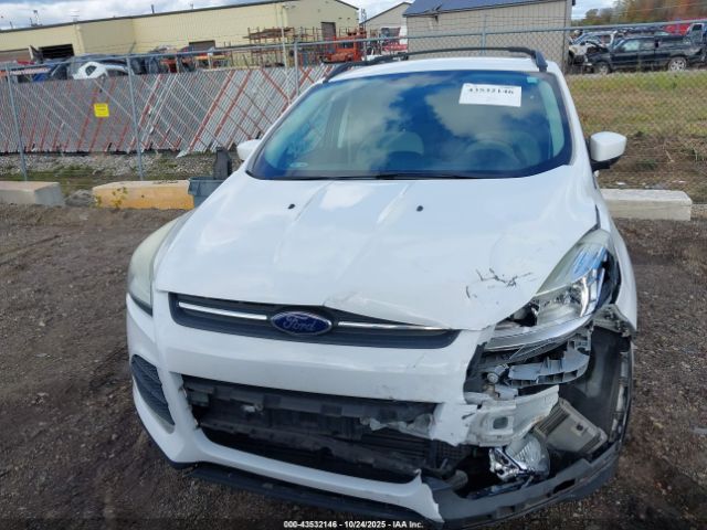 Ford Escape Se Image 12